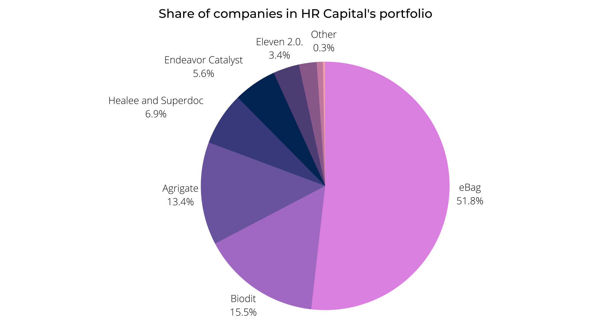 Share of companies in the portfolio of HR Capital