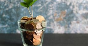 a glass with coins and a sprout, crowdfunding for startups