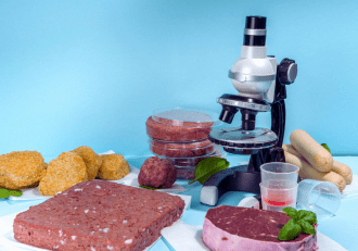 future of meat plant based and cell based alternative meat startups