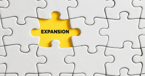 Puzzle with one missing piece under which there's the word 'expansion' written.