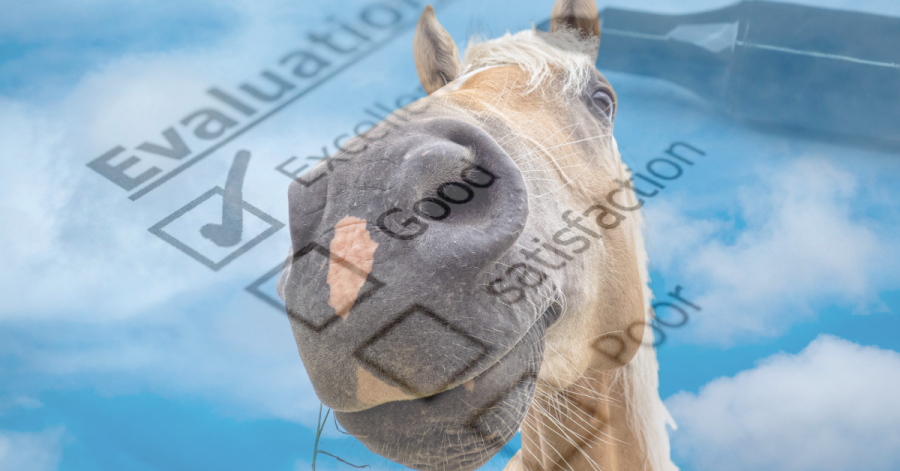 Horse with a evaluation checklist.