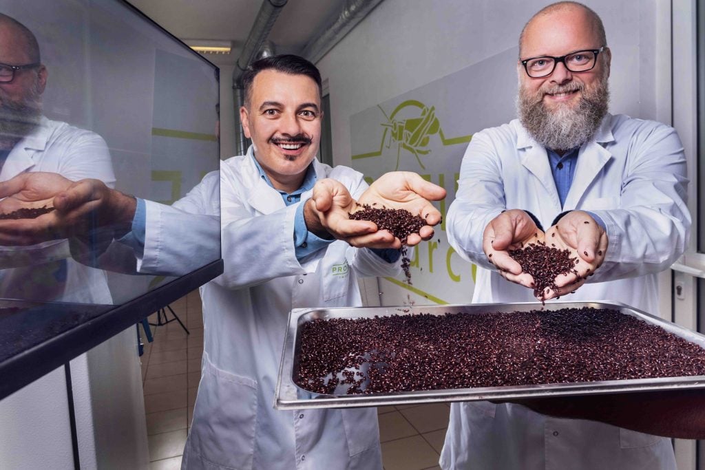 Polish Proteine Resources Secures €1.4M for Its AI-Powered Insect Farming, TheRecursive.com