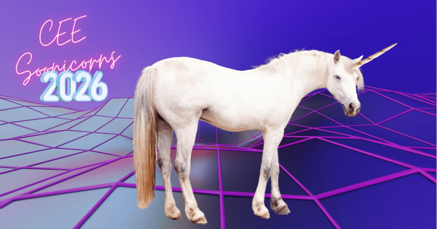 8 Soon-to-Be Unicorns in CEE, According to Investors, TheRecursive.com