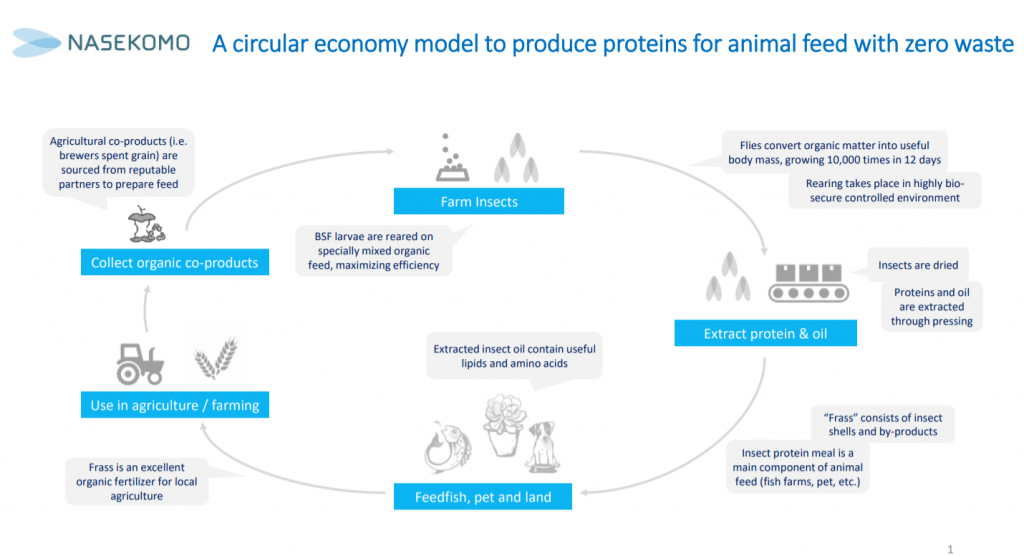 Nasekomo's circular economy model