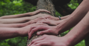 hands on a tree, Speedinvest fund