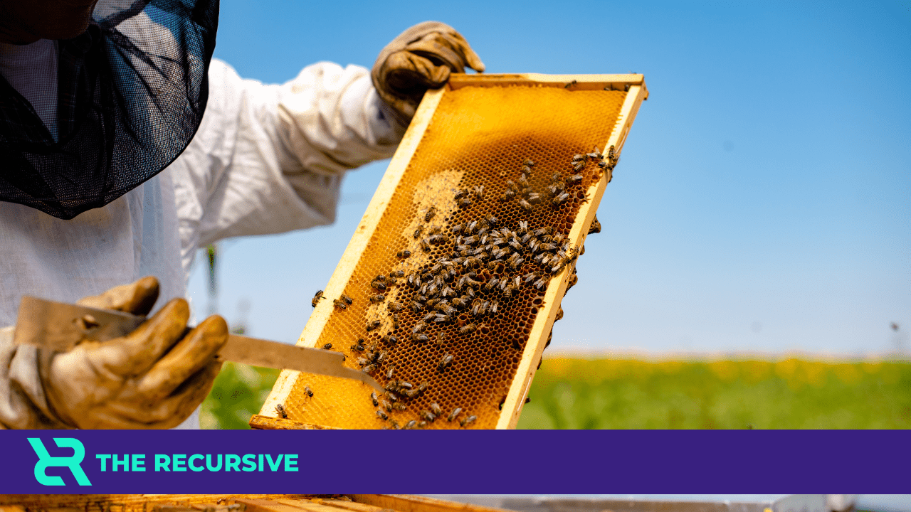 Beekeepers are struggling to keep up with farms' pollination needs