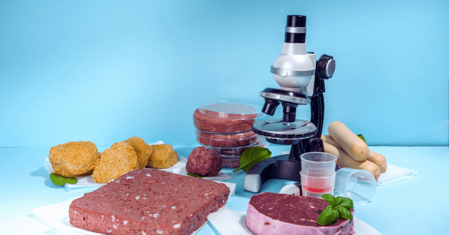 future of meat plant based and cell based alternative meat startups