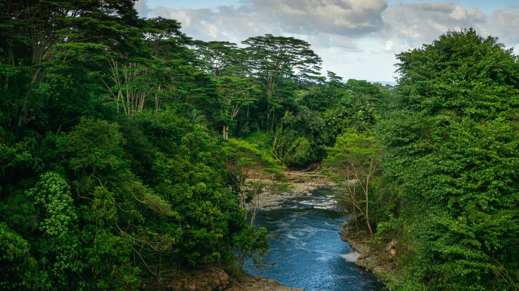 rebalance earth, blockchain, environment protection