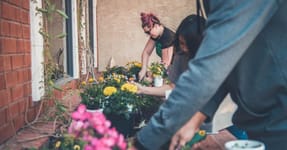 a community planting flowers