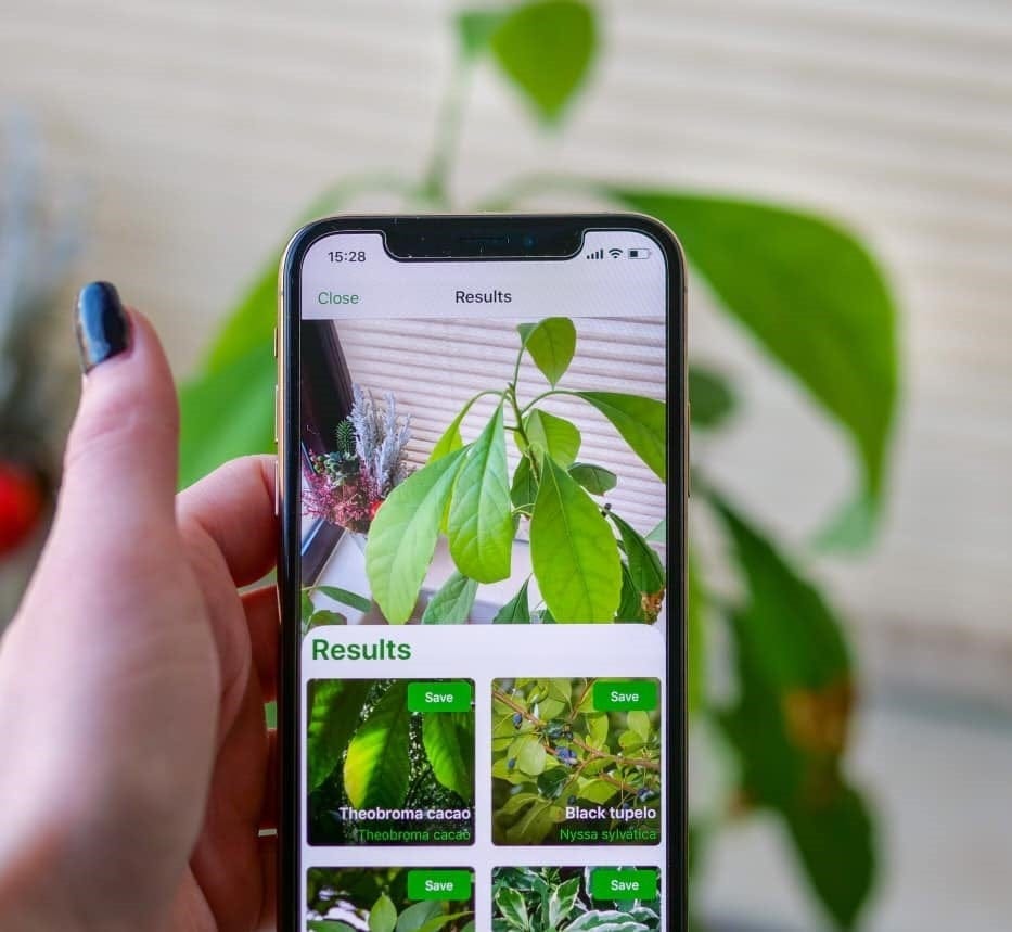 PlantSnap, the first app of Eden Tech Labs